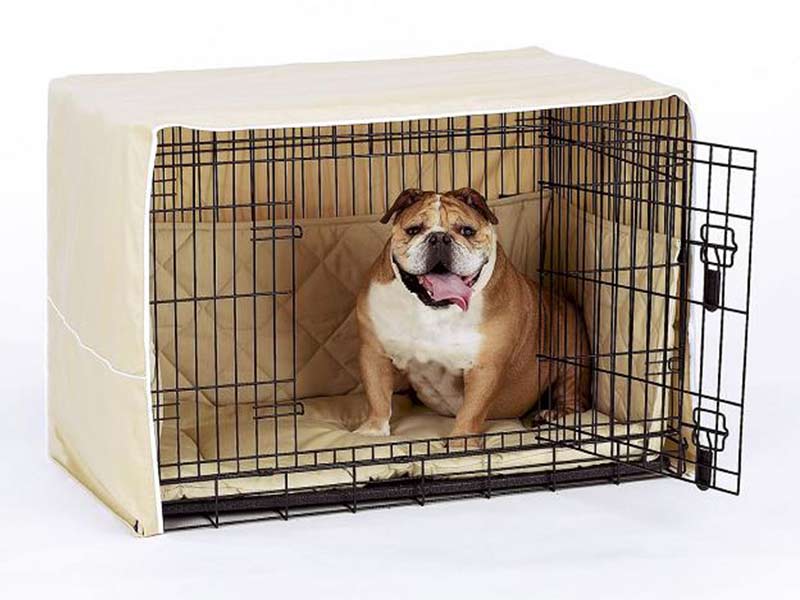 μποξ, φωλιά ή φυλακή;