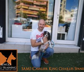 Sami-King Charles